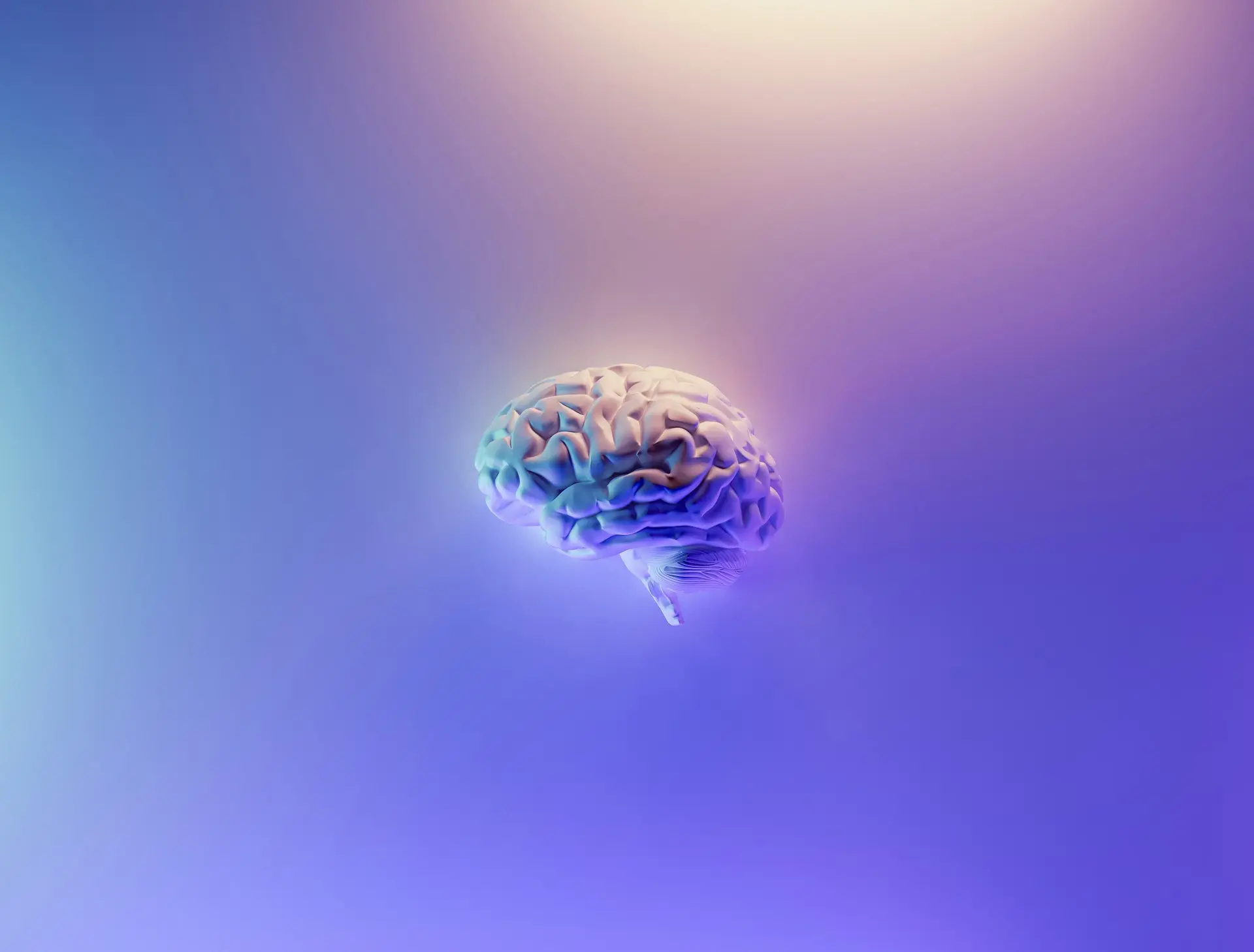 Cerveau sur fond bleu spectrautonomie.be